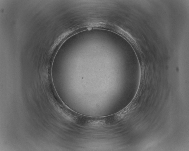 X0000068830155200605051245