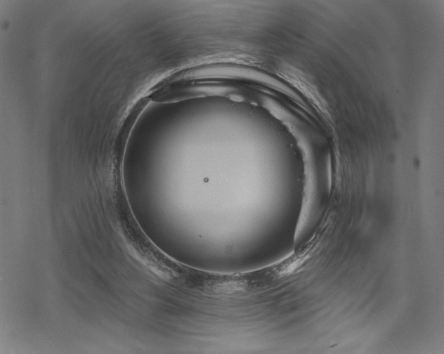 X0000068830156200605051245