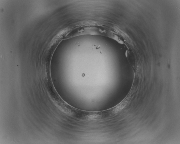 X0000068830158200605051245