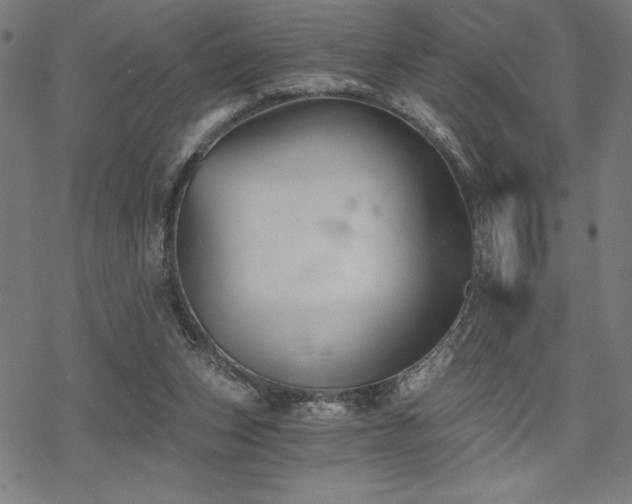 X0000068830159200605051245