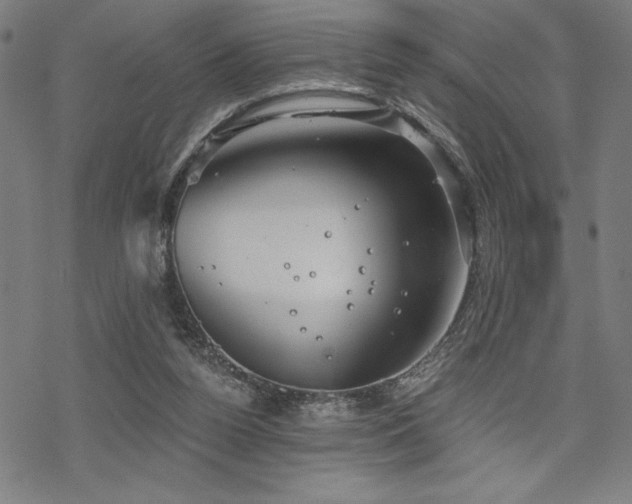 X0000068830160200605051245