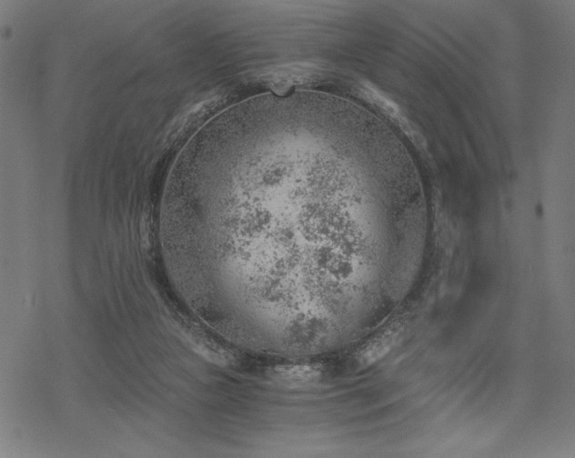 X0000068830161200605051245