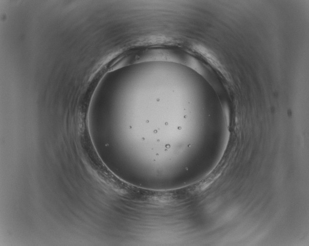 X0000068830164200605051245