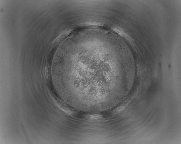 X0000068830165200605051245