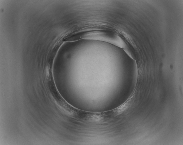 X0000068830166200605051245