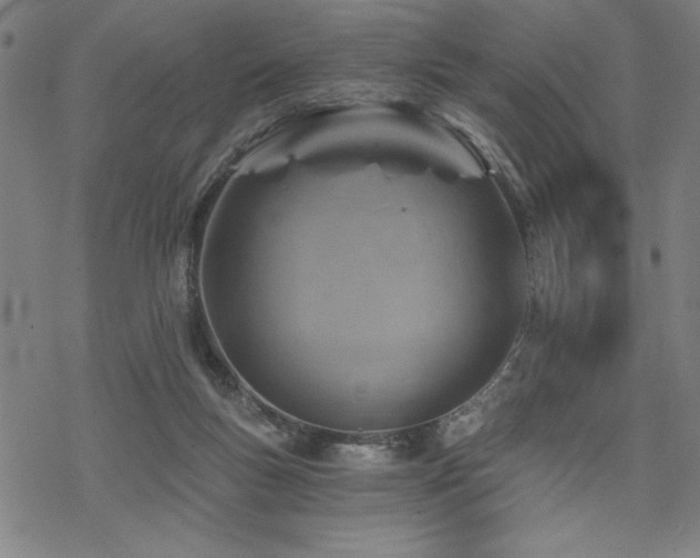 X0000068830167200605051245