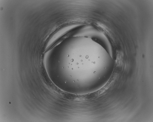 X0000068830168200605051245