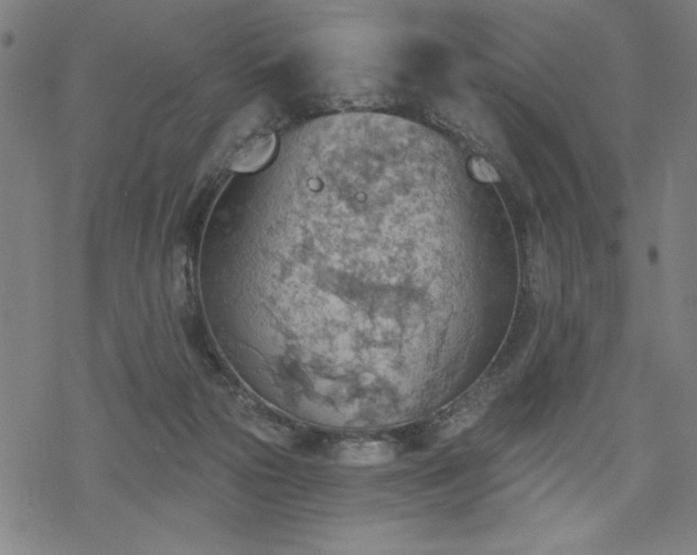 X0000068830169200605051245