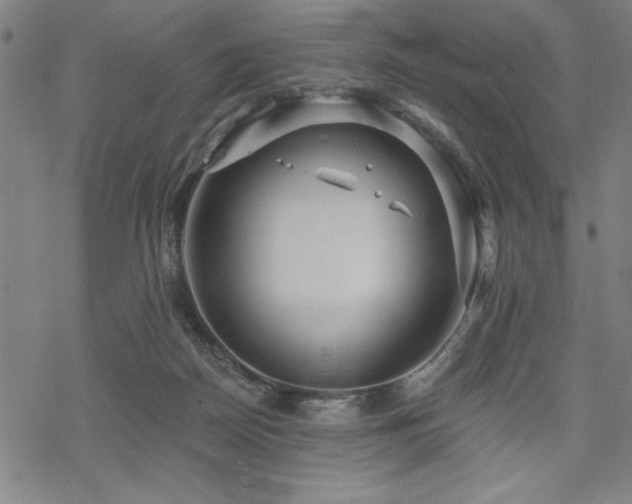 X0000068830170200605051245