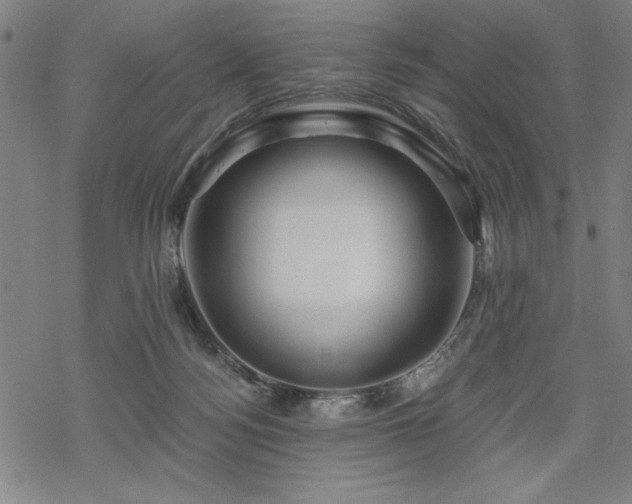 X0000068830172200605051245