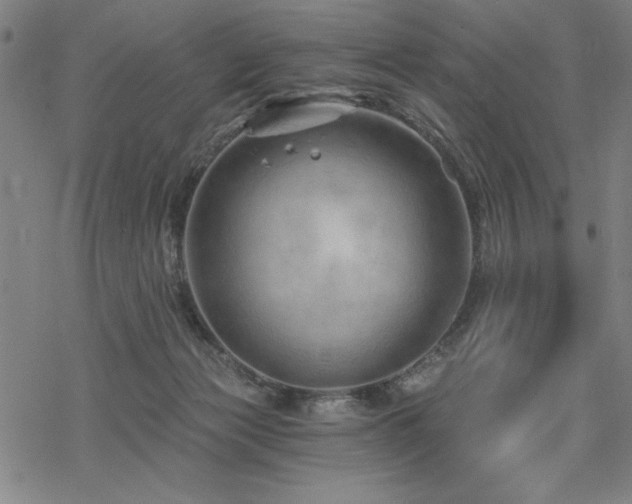 X0000068830173200605051245