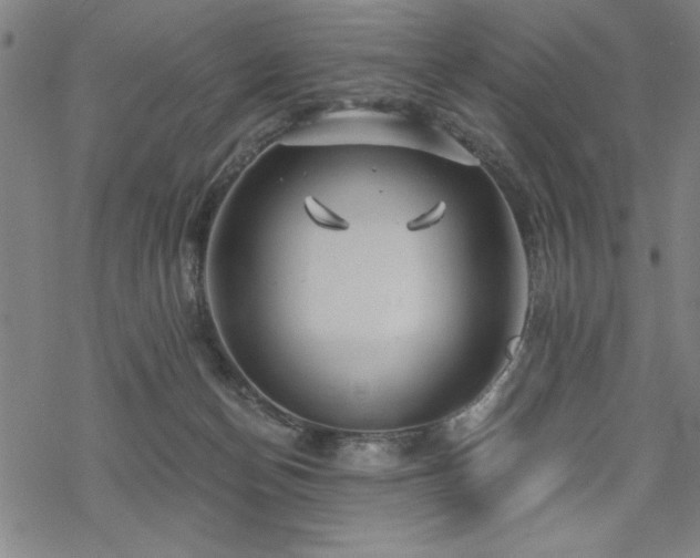 X0000068830174200605051245