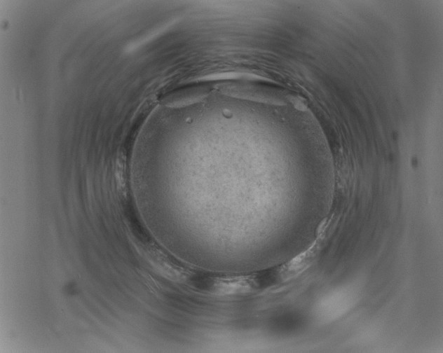 X0000068830175200605051245