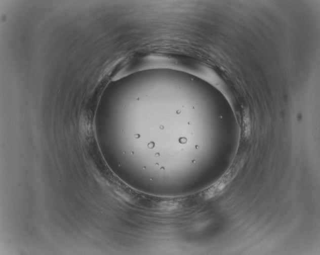 X0000068830176200605051245