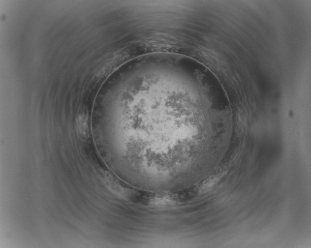 X0000068830177200605051245