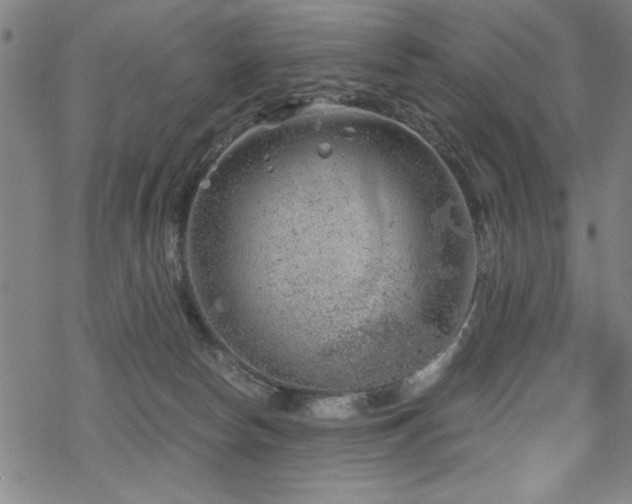 X0000068830178200605051245