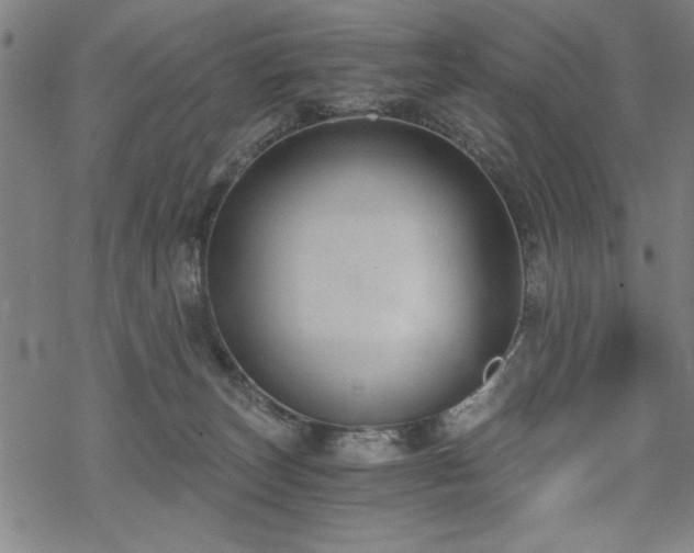 X0000068830179200605051245