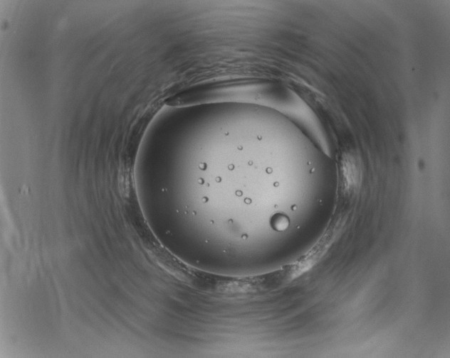 X0000068830180200605051245