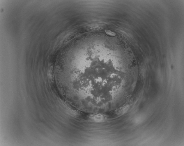 X0000068830181200605051245