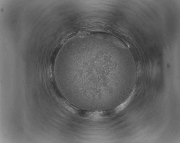 X0000068830182200605051245