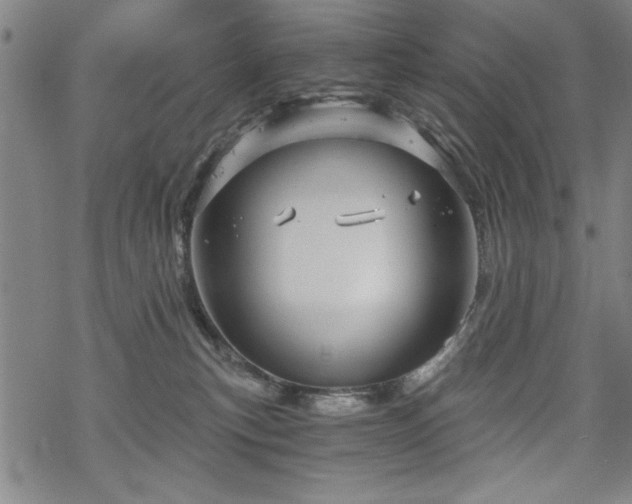 X0000068830183200605051246