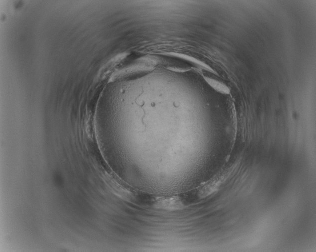 X0000068830185200605051246