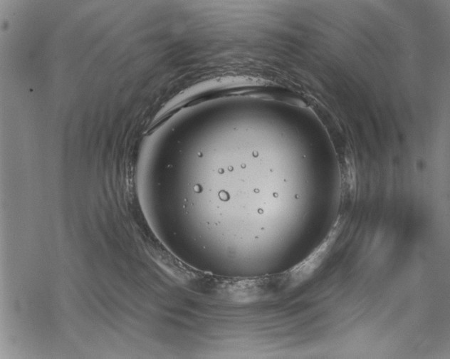 X0000068830186200605051246