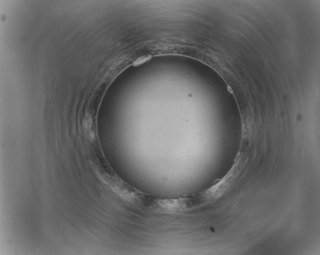 X0000068830187200605051246