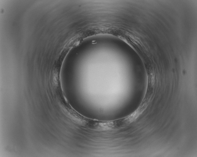 X0000068830188200605051246