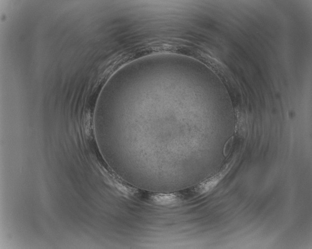 X0000068830189200605051246