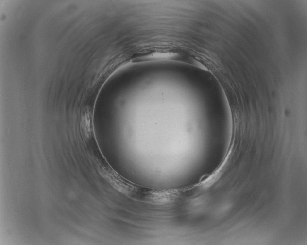 X0000068830190200605051246