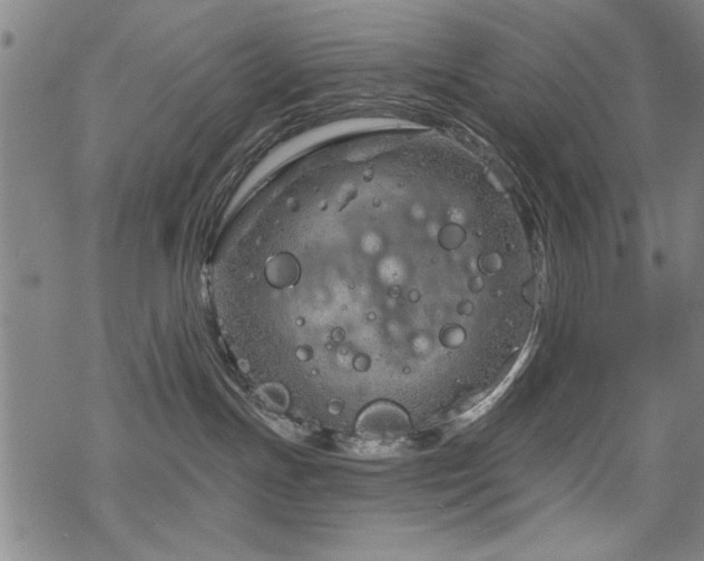 X0000068830191200605051246