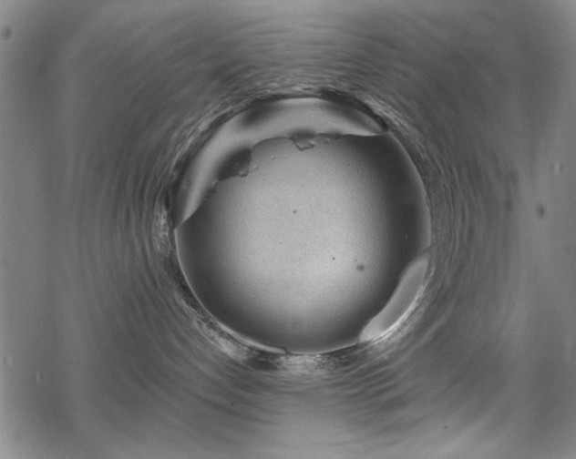 X0000068830192200605051246