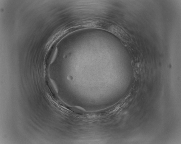 X0000068830194200605051245