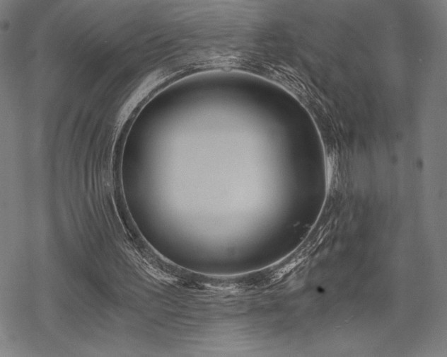 X0000068830195200605051245