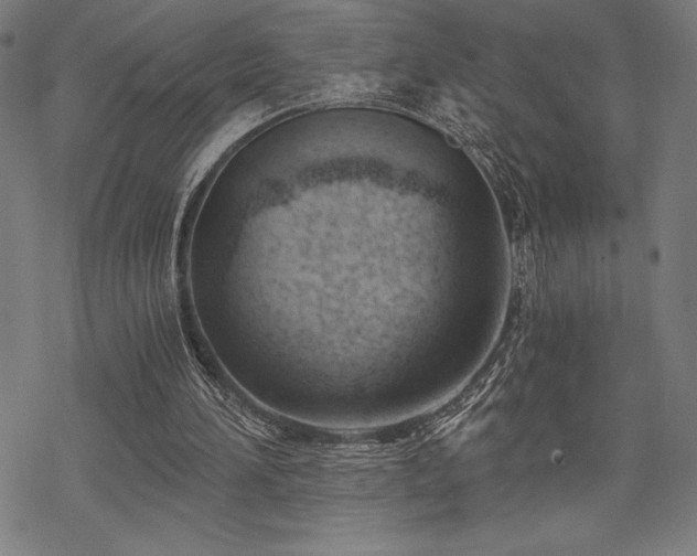 X0000068830196200605051245