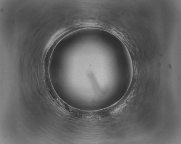 X0000068830199200605051245