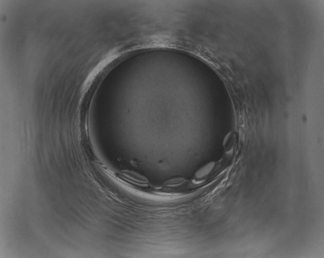 X0000068830200200605051245