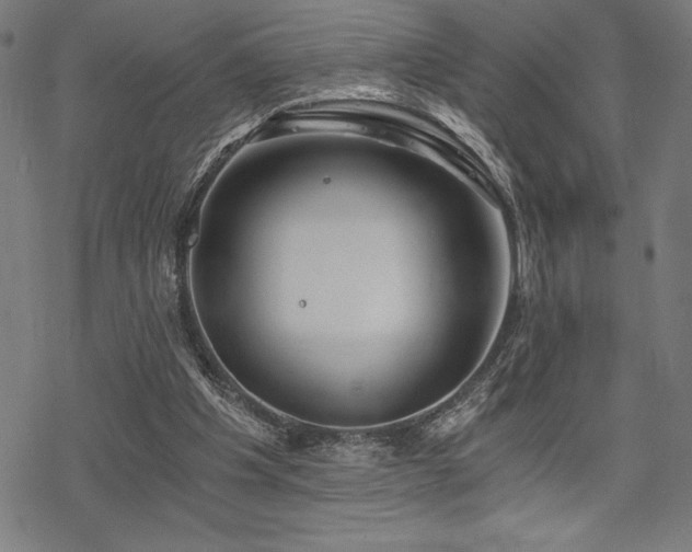 X0000068830201200605051245