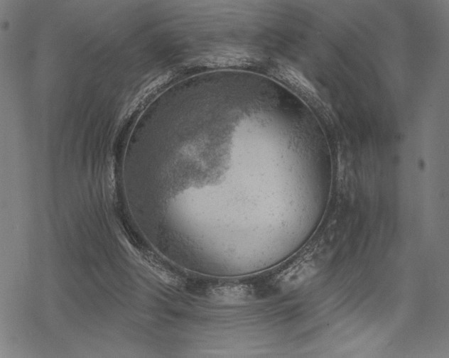 X0000068830202200605051245