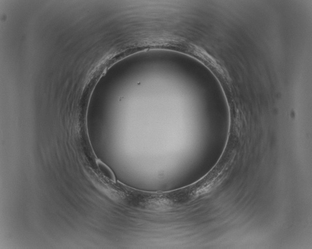 X0000068830203200605051245