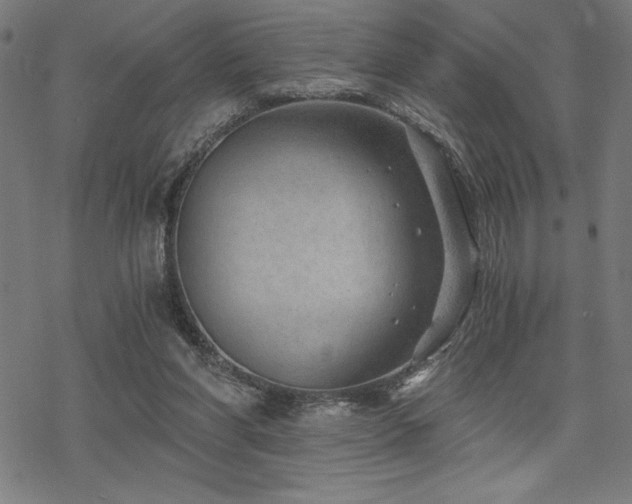 X0000068830206200605051245