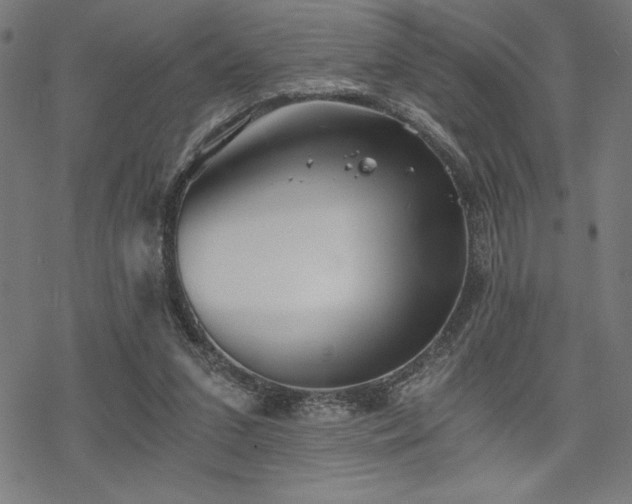 X0000068830207200605051245