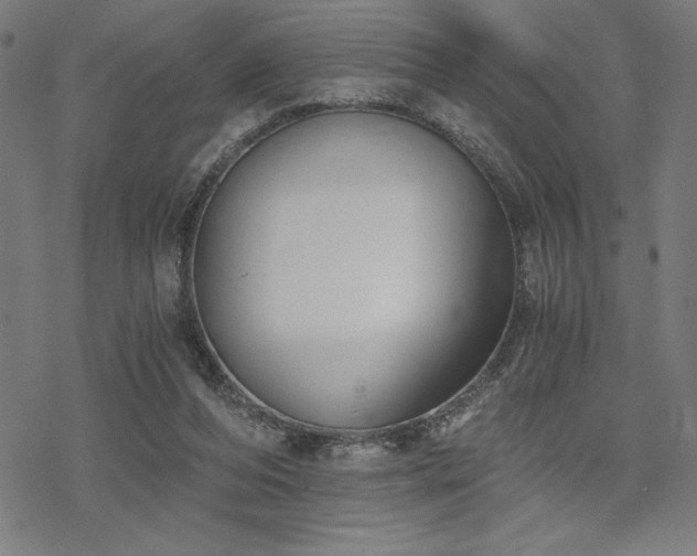 X0000068830208200605051245