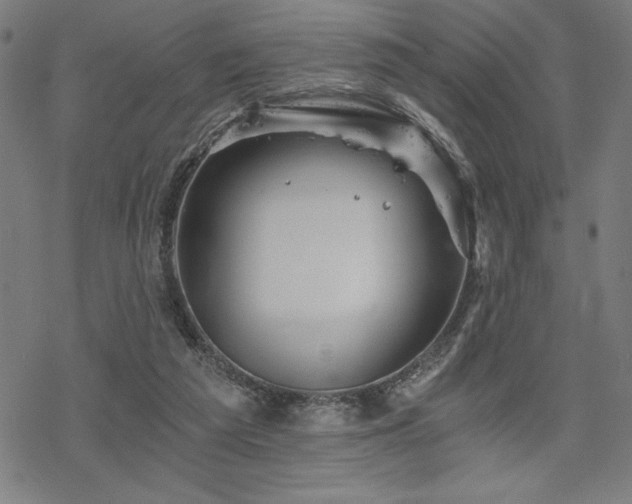 X0000068830209200605051245