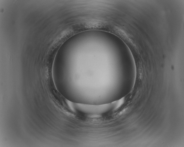 X0000068830211200605051245