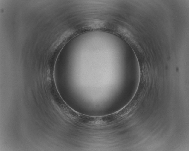 X0000068830212200605051245