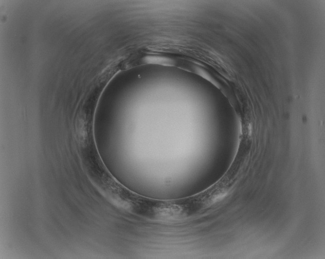 X0000068830215200605051244