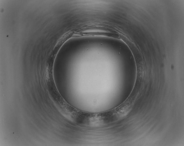 X0000068830216200605051244