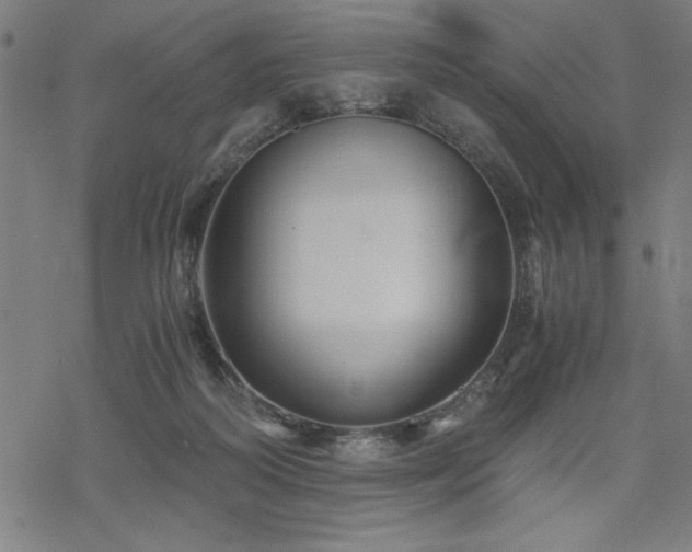 X0000068830218200605051244